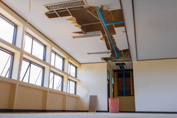 Best Water damage restoration near me  in Lake Hamilton, FL